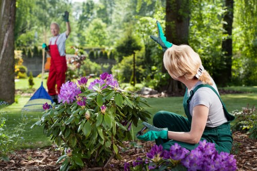 Gardener working in a Stoke Newington garden