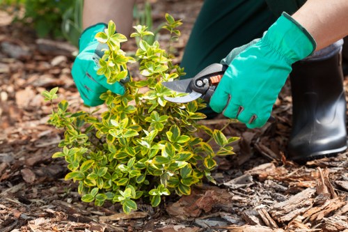 Accessible gardening information displayed on a tablet near planting tools