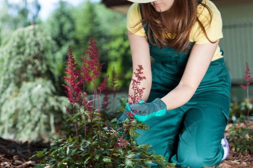 List of accepted payment methods for Gardening Stoke Newington