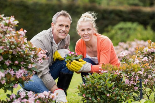 Professional team performing garden clearance