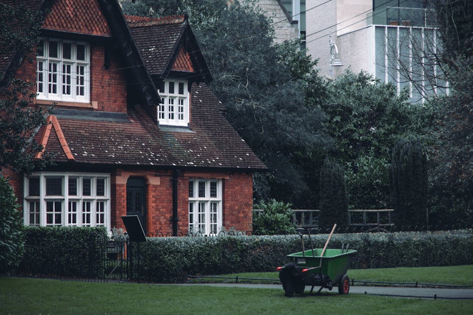 A small front garden in Stoke Newington N16 featuring a well-maintained lawn with neatly trimmed grass, bordered by a low hedge and shrubbery. A green wheelbarrow with gardening tools, including a rak